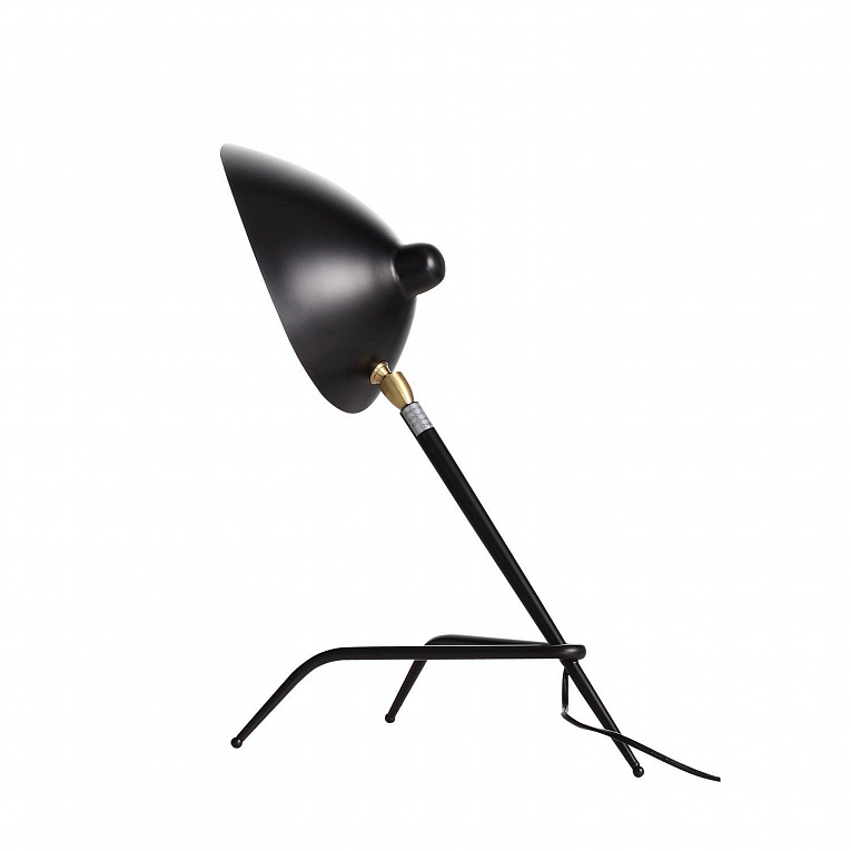 Лампа настольная ST LUCE SPRUZZO / СПРУЗЗО SL305.404.01